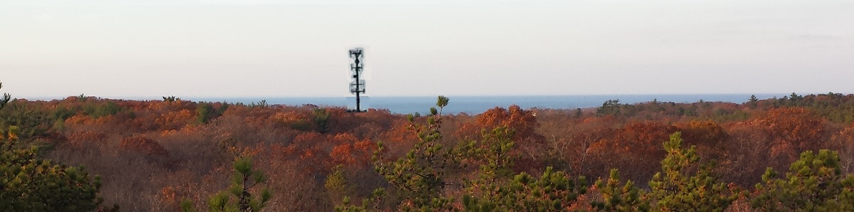 cell tower rendition from Eagle Rock vista